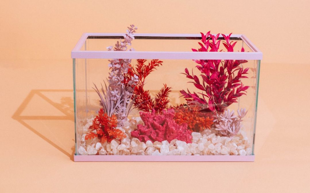 Creative Set Design Ideas: Turning an Aquarium into a Stylish Decoration